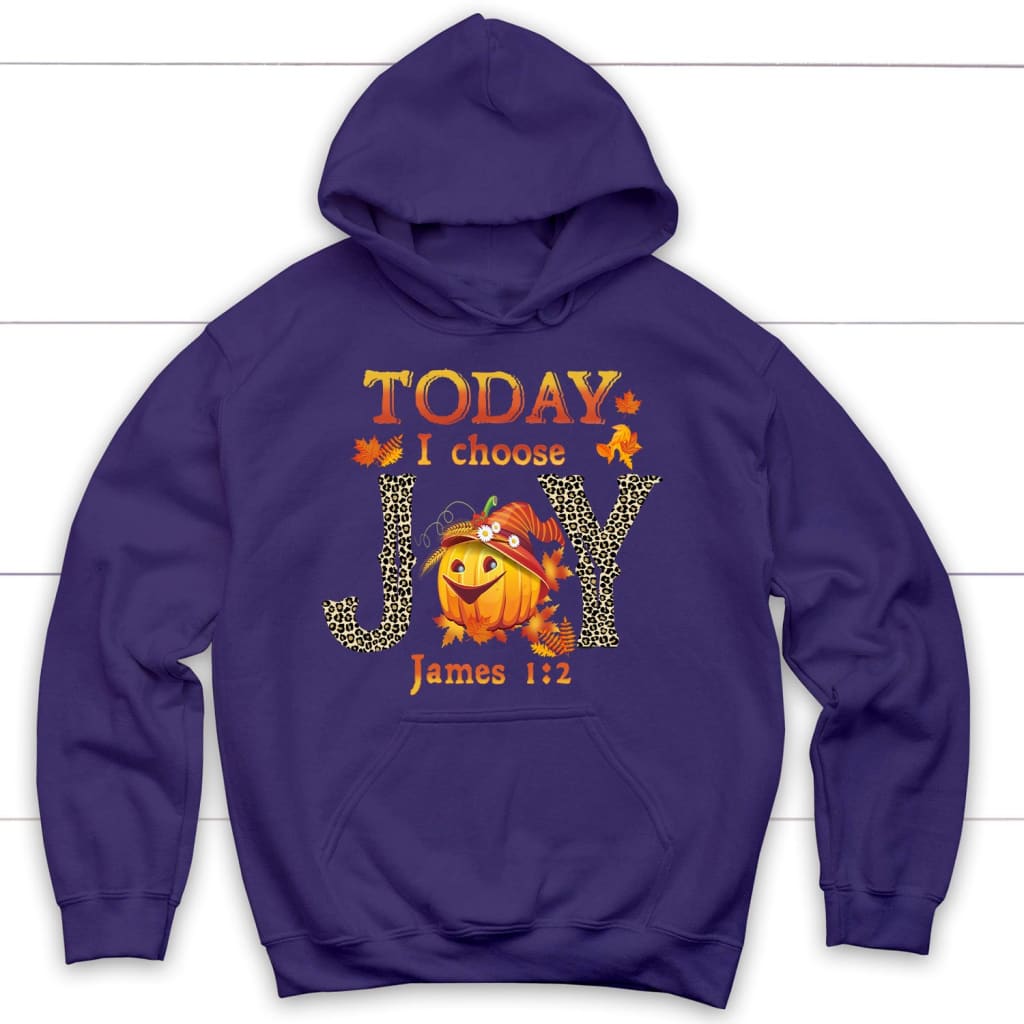 Today I Choose Joy James 1:2 Pumpkin Thanksgiving Hoodie