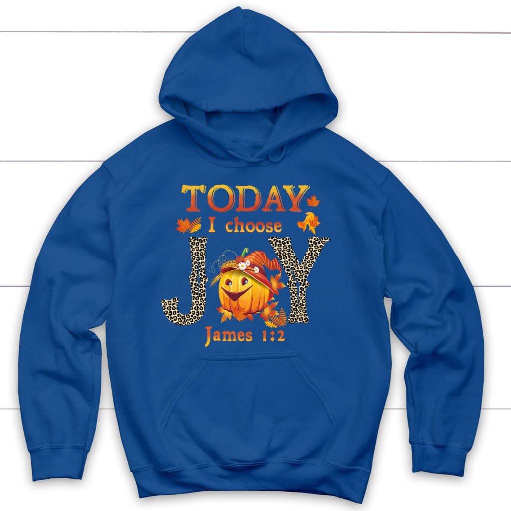 Today I Choose Joy James 1:2 Pumpkin Thanksgiving Hoodie